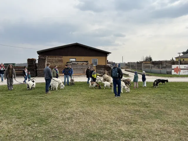 Foto: Claudia Bräuer