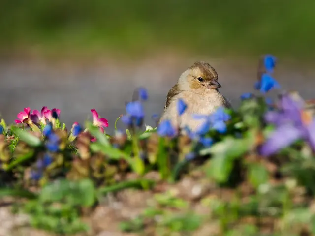 Gruß aus dem Frühling