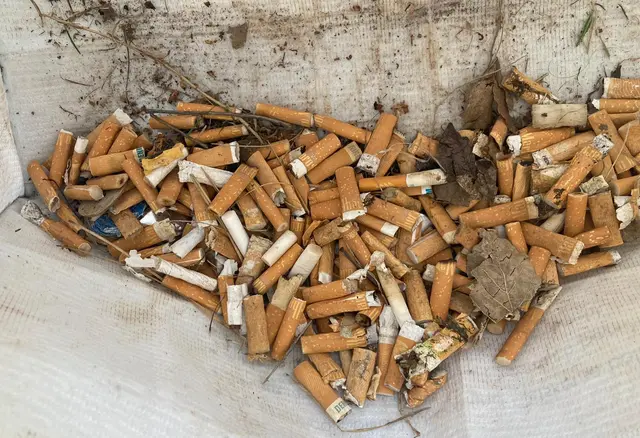 Sylvia Membier fischte Zigarettenstummel aus dem Grünen