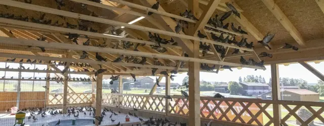 Gut Aiderbichls Taubenhaus in Eslarn. | Foto: Gut Aiderbichl