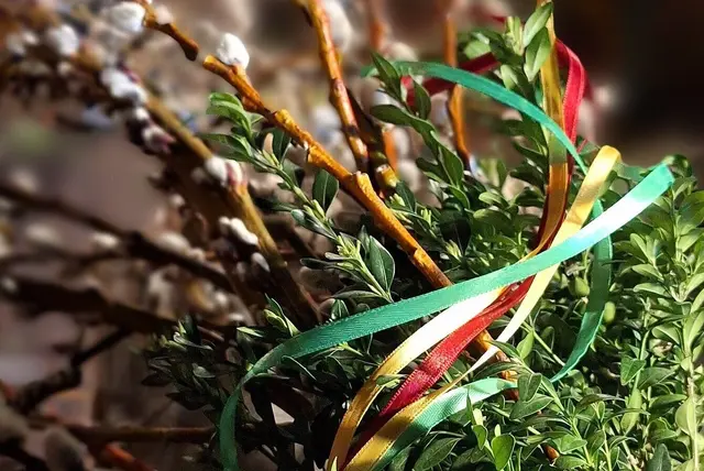 Palmkätzchen sind der zentrale Bestandteil eines Palmbuschens. Die Zweige der Weide werden zum Palmsonntag gebunden und bei der Palmweihe gesegnet. Das Palmbuschenbinden gehört zu den traditionellen Osterbräuchen in der Steiermark und in Österreich. | Foto: Volkskultur Steiermark