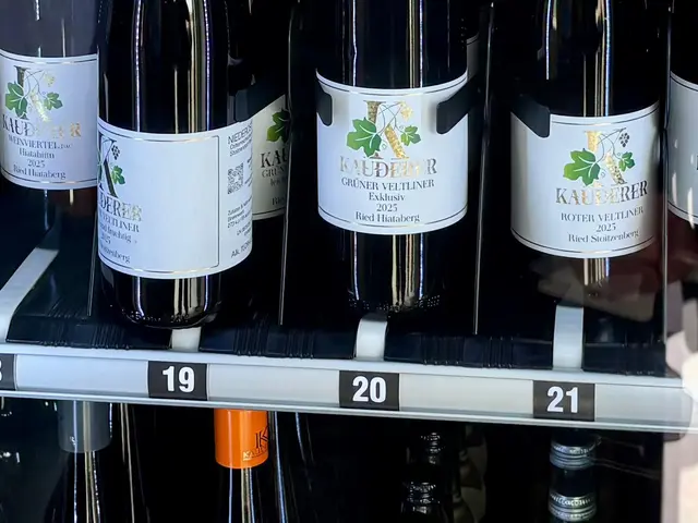 Die Flasche wird über ein Laufband zu einem Hebearm transportiert, der sie ins Ausgabefach befördert. | Foto: Markus Kahrer