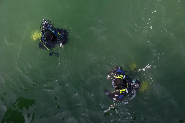 Die Taucher der Berufsfeuerwehr mussten am Mittwoch eine Person aus der Unteren Alten Donau bergen. (Archiv) | Foto: 	APA-Images / APA / TEAM FOTOKERSCHI