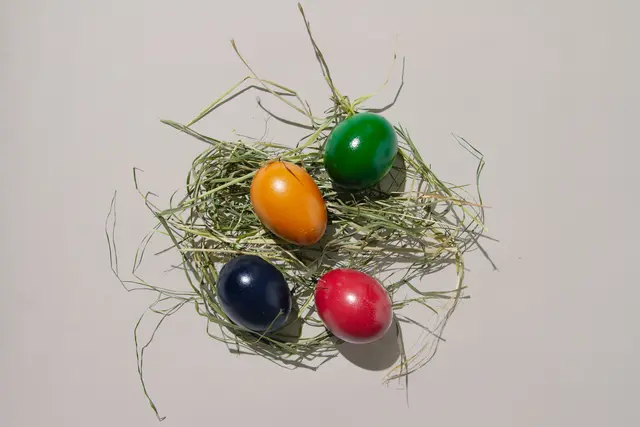 Vier von fünf Eiern im Supermarkt aus nicht artgerechter Haltung