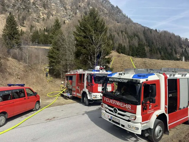 Beim Feuerwehreinsatz in Muhr am Nachmittag des 25. März 2026. | Foto: Feuerwehrbezirk Lungau / BSBÖ OVI Thomas Keidel