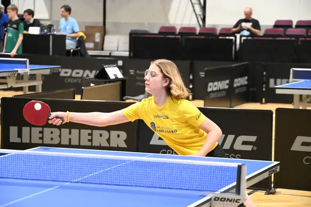 Niederösterreich makellos