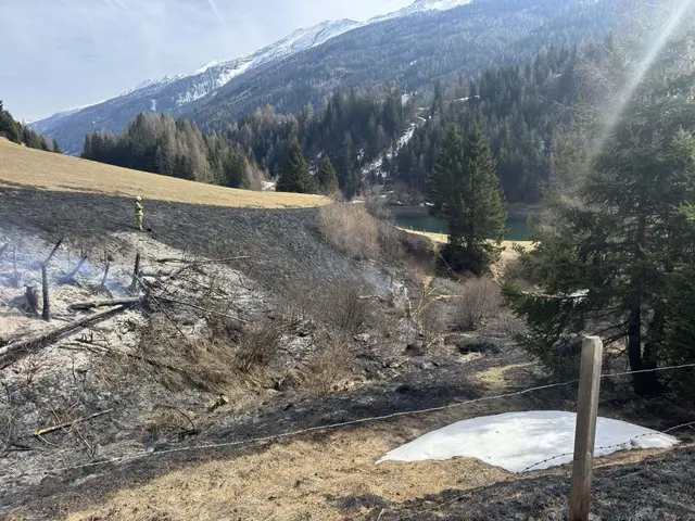 Beim Feuerwehreinsatz in Muhr am Nachmittag des 25. März 2026. | Foto: Feuerwehrbezirk Lungau / BSBÖ OVI Thomas Keidel