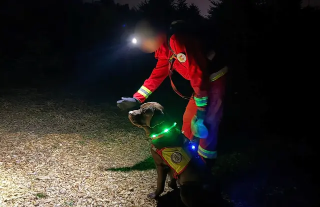 An der Suchaktion waren Polizei- und Diensthundestreifen, ein Polizeihubschrauber, eine Polizeidrohne, zwei Freiwillige Feuerwehren sowie Suchhunde beteiligt. | Foto: Österreichische Rettungshundebrigade Landesgruppe Kärnten