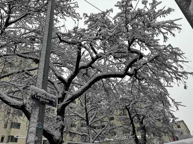 Zuerst 20 Grad und Postkartenwetter am Mittwoch, dann kommt es zum Winter-Comeback und Schnee in der Nacht auf Freitag. (Archiv) | Foto: Barbara Schuster/MeinBezirk