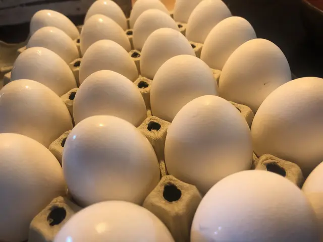 „Land schafft Leben