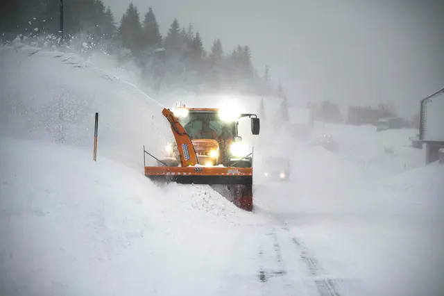 Tirol bereitet sich auf Schneefall und stürmischen Wind vor. Die Behörden geben eine Wetterwarnung für die kommenden Tage heraus.
 | Foto: STED/Bektaš/Symbolbild