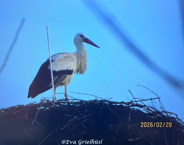 Foto: Eva Grielhüsl