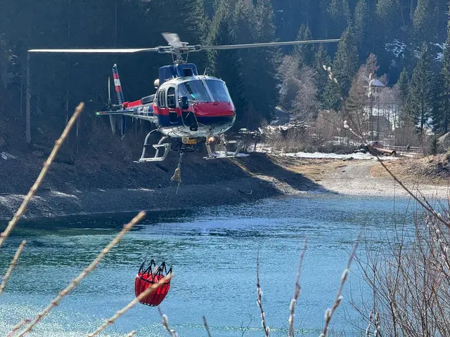 Beim Löscheinsatz in Muhr am Nachmittag des 25. März 2026. | Foto: Feuerwehrbezirk Lungau / BSBÖ OVI Thomas Keidel
