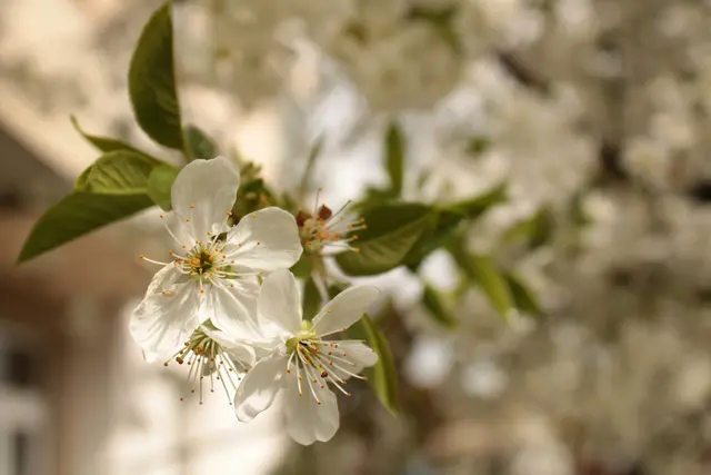 Foto: Theo Lonic/Unsplash