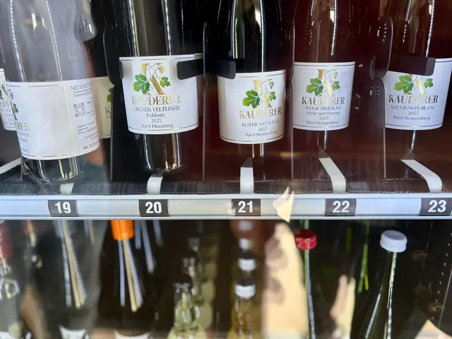 Die Flasche wird über ein Laufband zu einem Hebearm transportiert, der sie ins Ausgabefach befördert. | Foto: Markus Kahrer