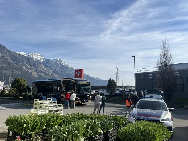 Es gab keine Verletzten. | Foto: Gärtnerei Jäger