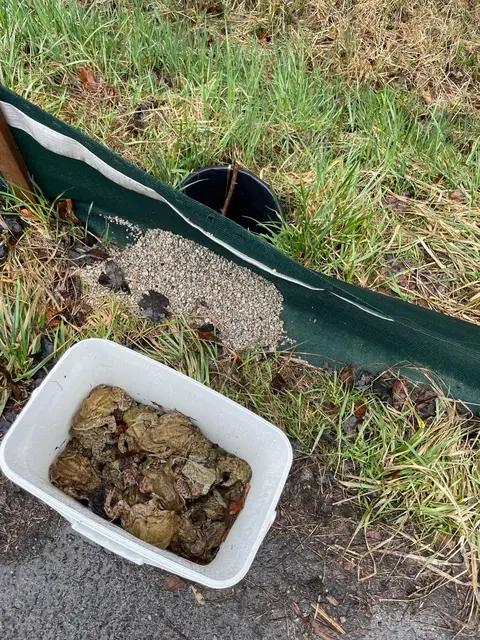 Insgesamt fast 139 Tiere waren es am Tag unseres Lokalaugenscheins. | Foto: Eisenkölbl