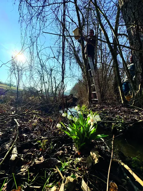 Foto: Marktgemeinde Wagna