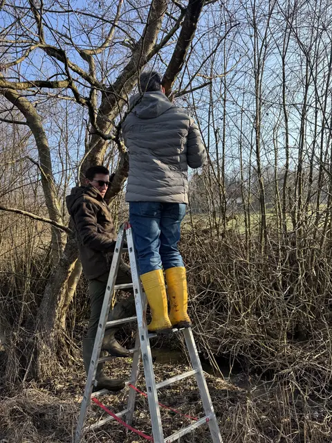 Foto: Marktgemeinde Wagna