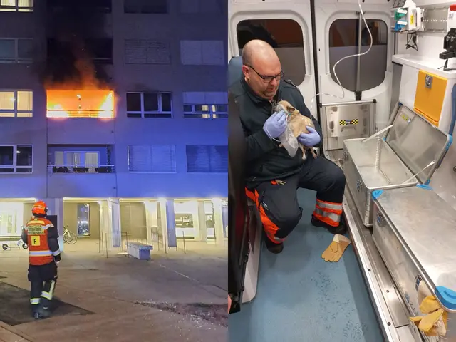 Während die Berufsfeuerwehr einen Balkonbrand bekämpfte (l.), kümmerten sich die Kollegen der Rettung um verletzte Tiere und Bewohner. | Foto: Stadt Wien/Berufsfeuerwehr, Stadt Wien/Berufsrettung, Collage MeinBezirk