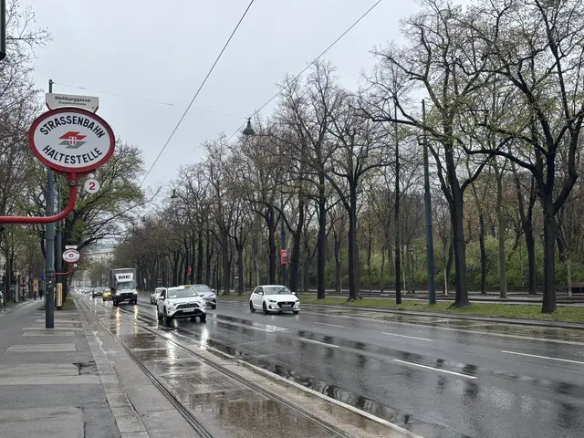 Warnung wegen starkem Wind für ganz Wien am Freitag