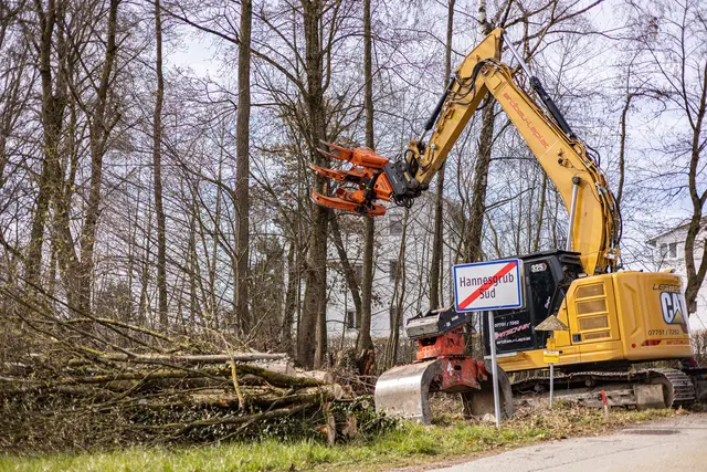 Die Baumfällungen haben bereits begonnen.  | Foto: Julia Haase/Stadtamt Ried 