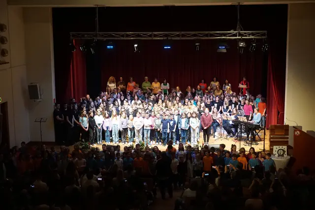 Bezirksjugendsingen Waidhofen/Thaya - eine Erfolgsgeschichte