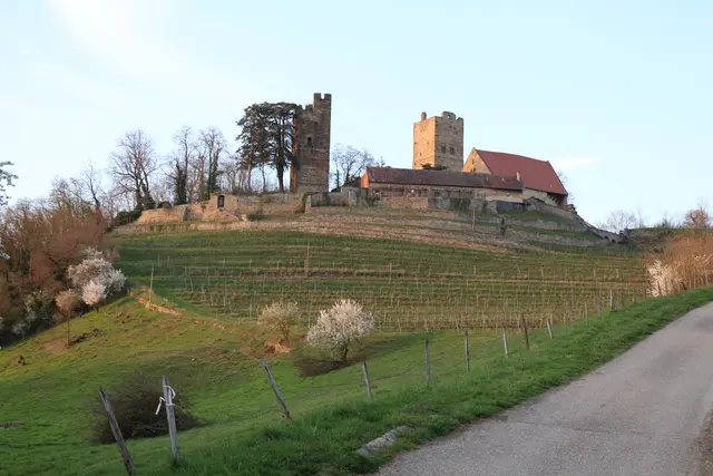 Foto: MeinBezirk/Rabl