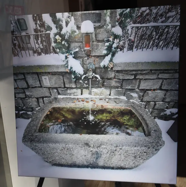 3. Platz: Marion Krismer