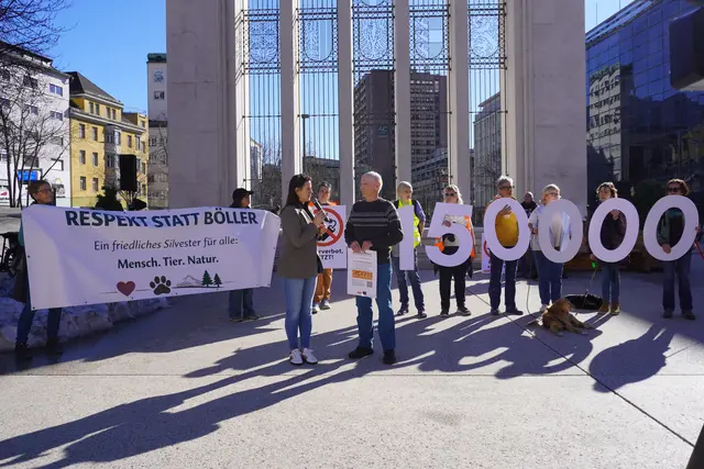 Aus dem Landtag - Böllerverbot, Navi-Anzeigen, Internatskosten
