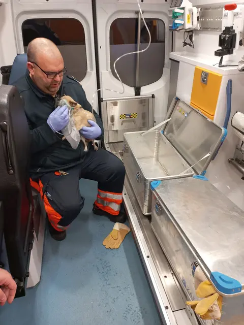 Foto: Stadt Wien/Berufsrettung Wien