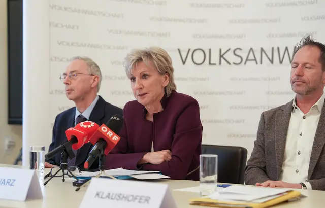 Der Bericht zeigt erhebliche Schwachstellen im bestehenden System auf. | Foto: Kaja Jerabek/MeinBezirk