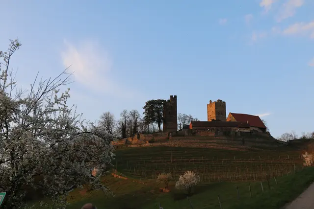 Foto: MeinBezirk/Rabl