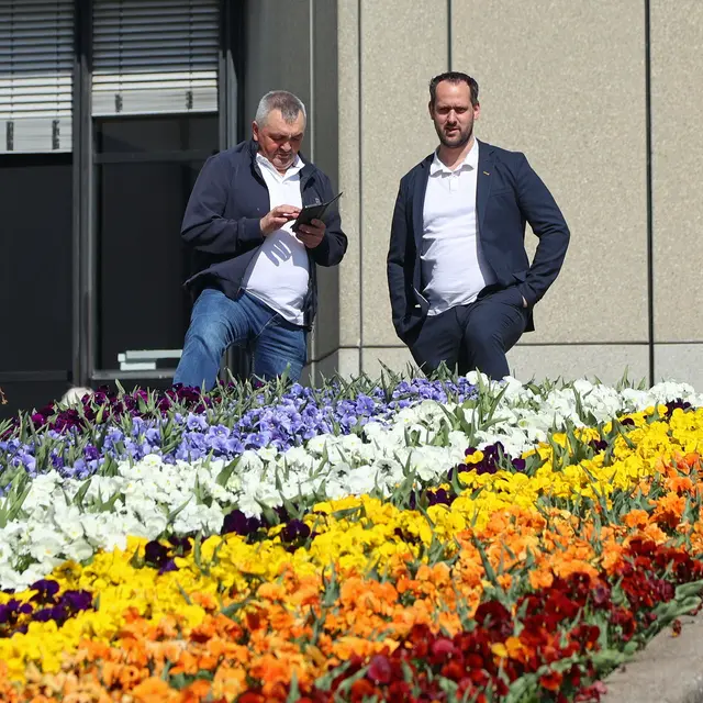 Foto: Helmut Klein