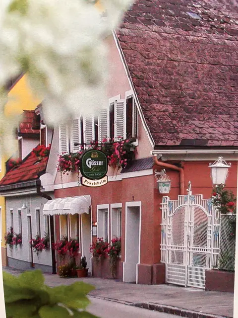 Das "Pukelsheim" in der St. Veiter Erlgasse schloss 2006 seine Pforten. | Foto: Privat