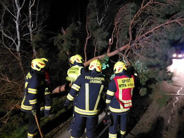 Die Feuerwehr Jabing war in der Nacht unter anderem beschäftigt, einen umgestürzten Baum zu entfernen. | Foto: Feuerwehr Jabing