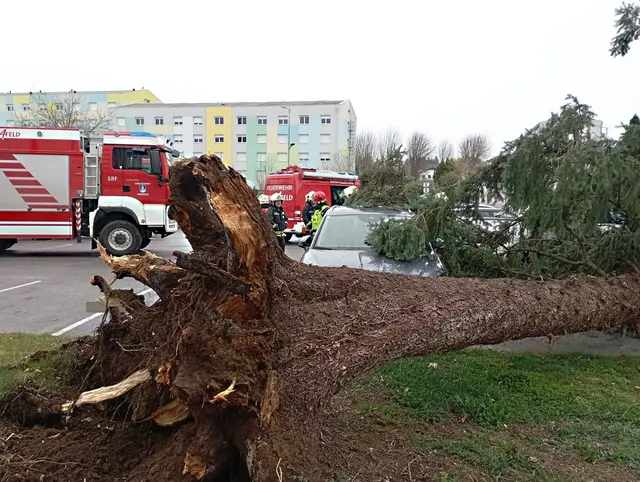 Plötzlicher Wintereinbruch sorgt für hunderte Einsätze