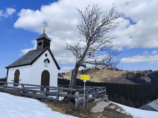 Letzten Sonntag war es sehr stürmisch und kalt auf der Postalm. Dennoch schön zum spazieren gehen.