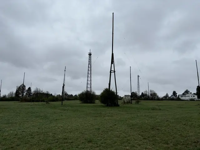 Die Sendemasten werden als Schonzone eingerichtet. | Foto: zVg