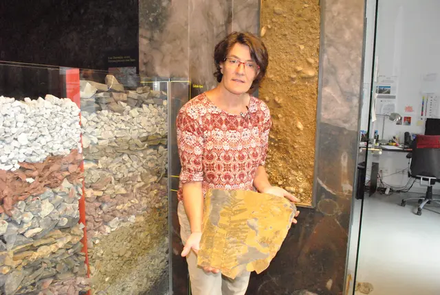 Gerlinde Ortner, seit 2009 Leiterin des GeoParks Karnische Alpen.  | Foto: MeinBezirk