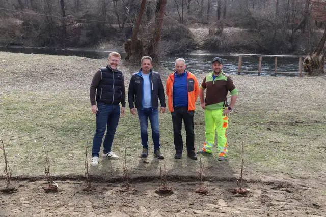 So wurde die Lässer Au am Fluss Mur ökologisch aufgewertet