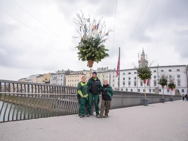 Die traditionellen Palmbuschen schmücken die Staatsbrücke. Im Bild: v.l.: Barbara Fiegl, Josef Wanka und Johanna Hainzer von den Stadtgärten | Foto: Stadt Salzburg/Escabosa