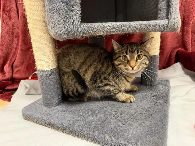 Unsere „Lieblinge der Woche“