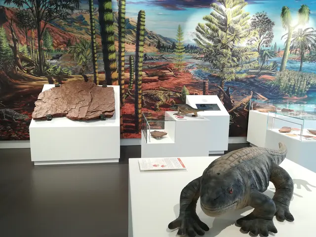 Die ältesten Saurier Österreichs stellt das Geoparkzentrum in den Mittelpunkt | Foto: GeoPark Karnische Alpen