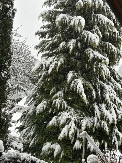 Der Schnee meldet sich noch einmal zurück