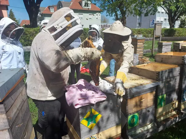  Im Diözesangarten in Klagenfurt wird ein Teil der Bienenstöcke vom Verein betreut.  | Foto: Stadtbienen Klagenfurt