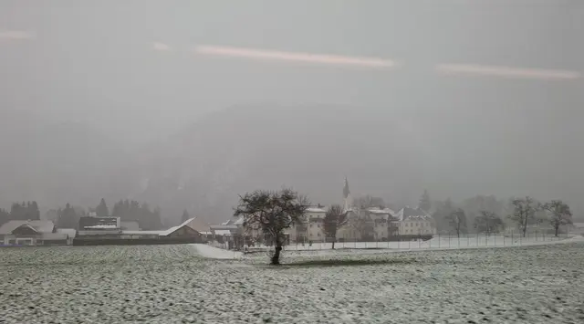 Foto: Gerlinde Hatzmann