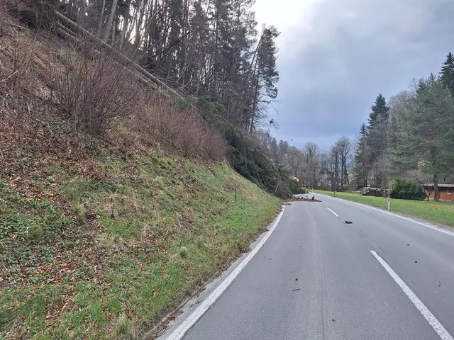 Das betroffene Straßenstück der B64 im Bereich der Weizklamm  | Foto: Land Steiermark