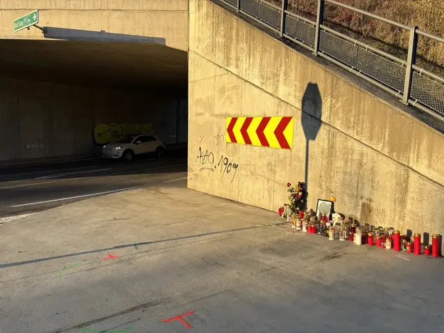 Pkw-Lenkerin zu zehn Monaten Haft verurteilt