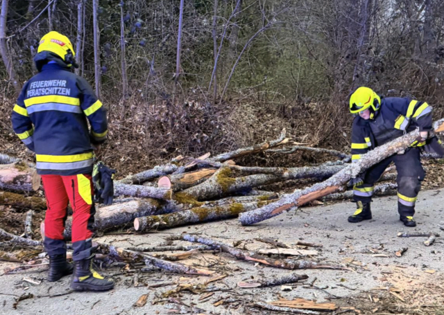 Foto: Feuerwehr Peratschitzen